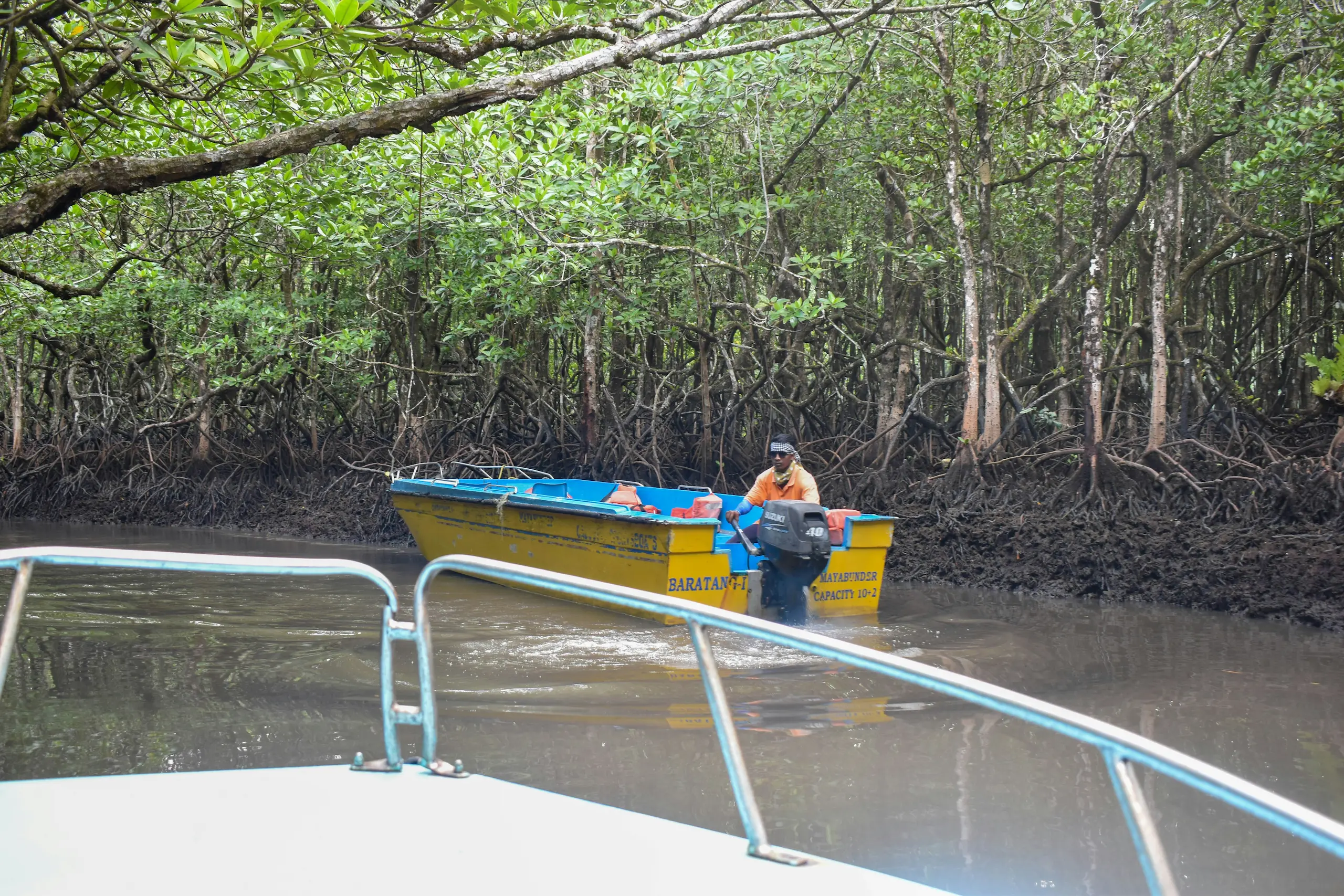 Baratang: Limestone Caves, Mangroves, and Raw Natural Landscapes