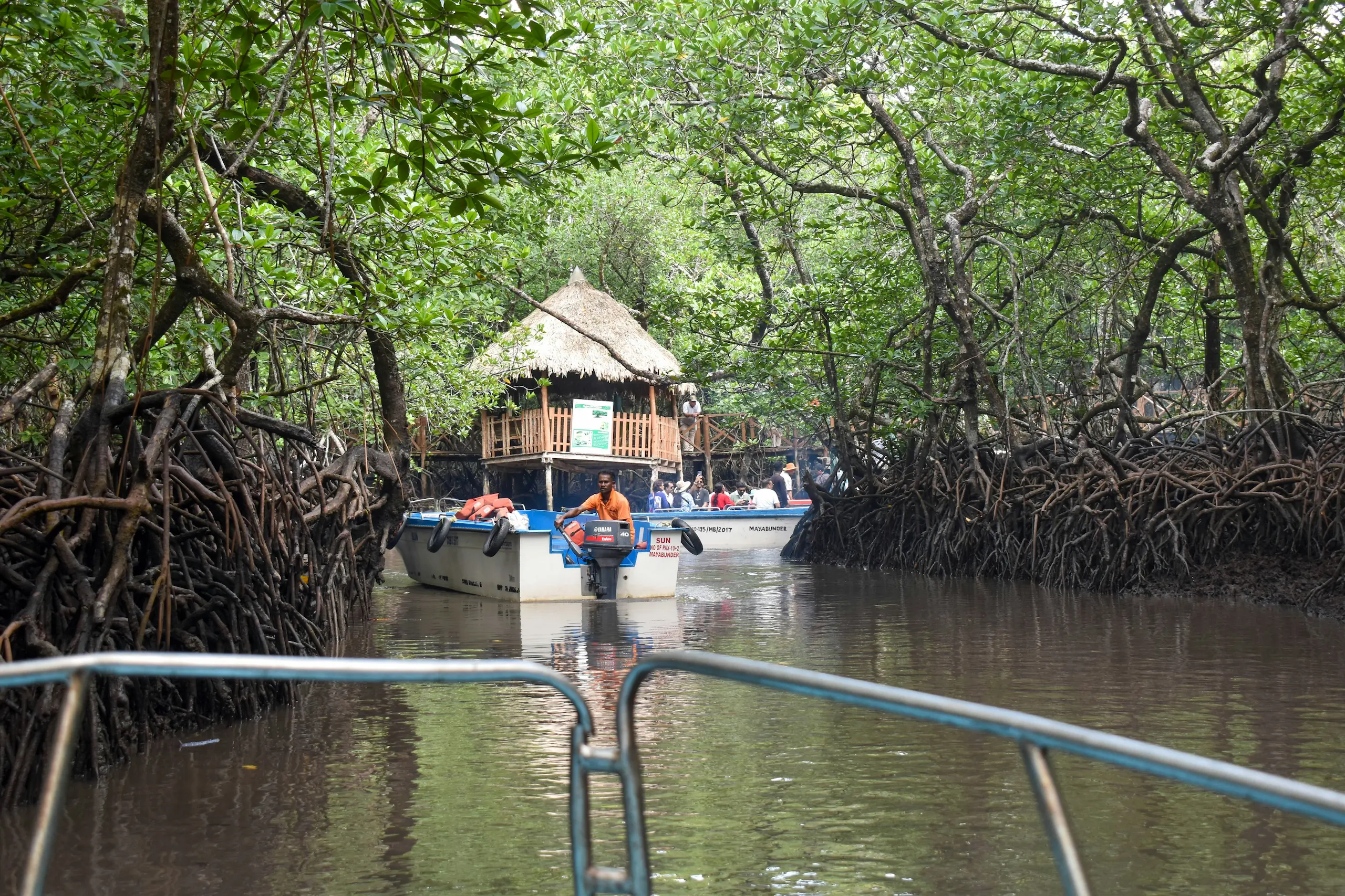 Baratang: Limestone Caves, Mangroves, and Raw Natural Landscapes
