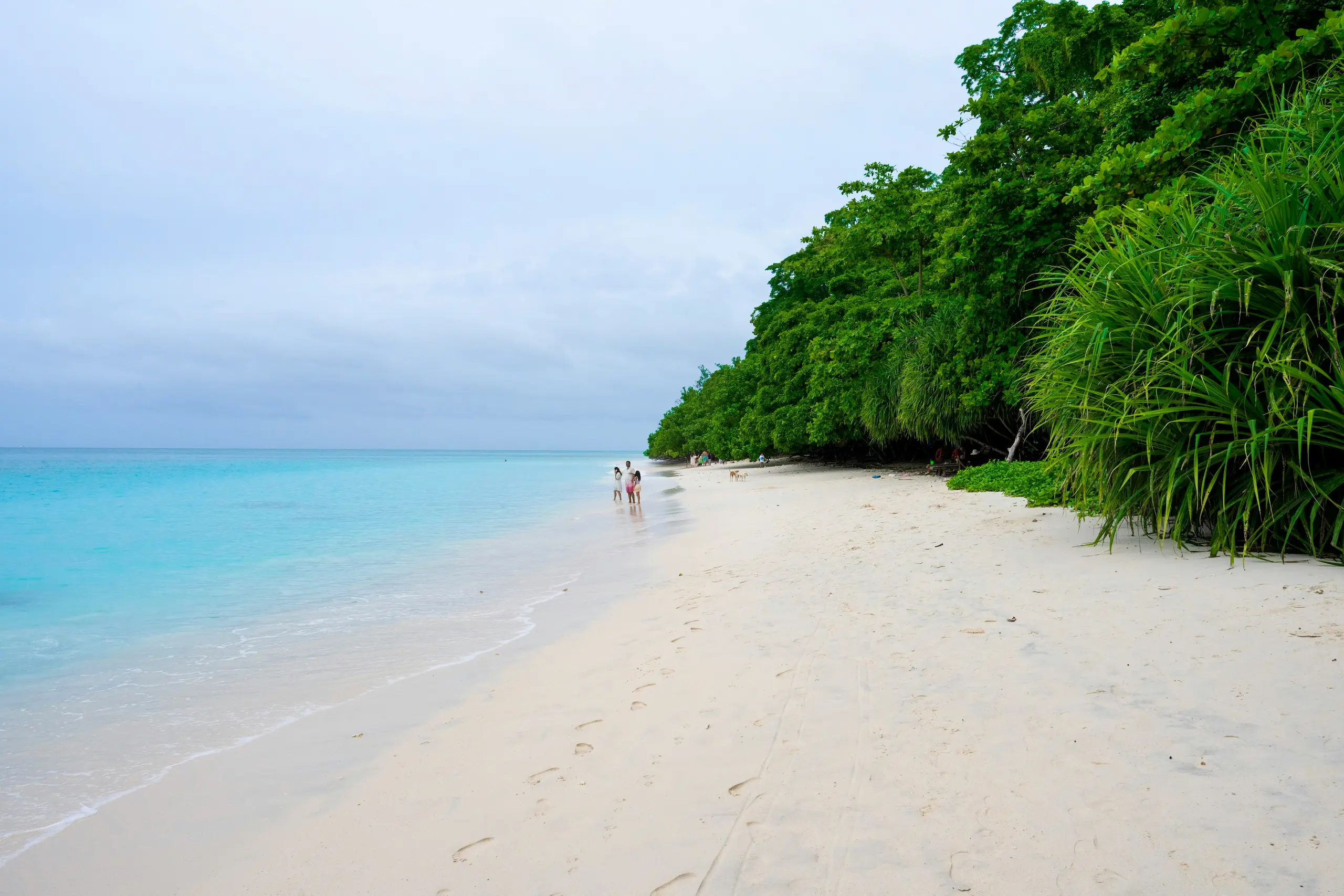 Chidiya Tapu: Sunset Views, Coastal Forest, and Easy Evening Escapes