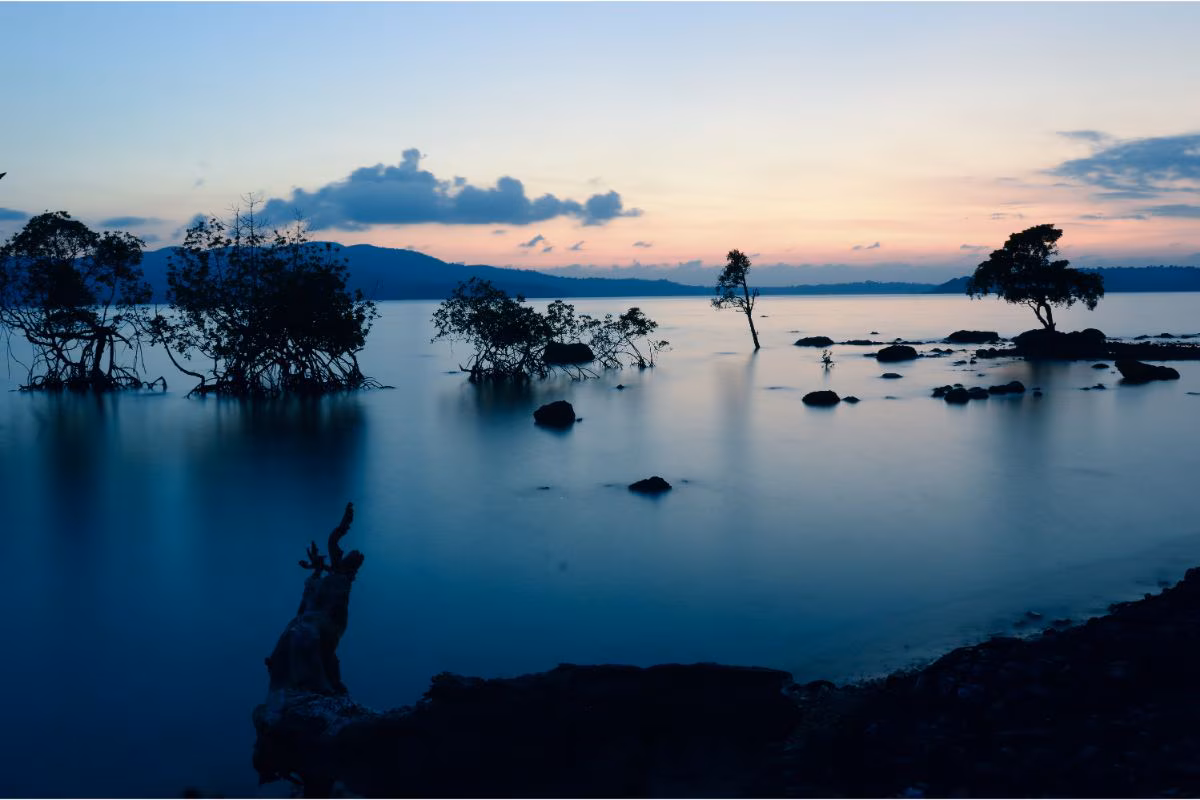 Andaman Destinations