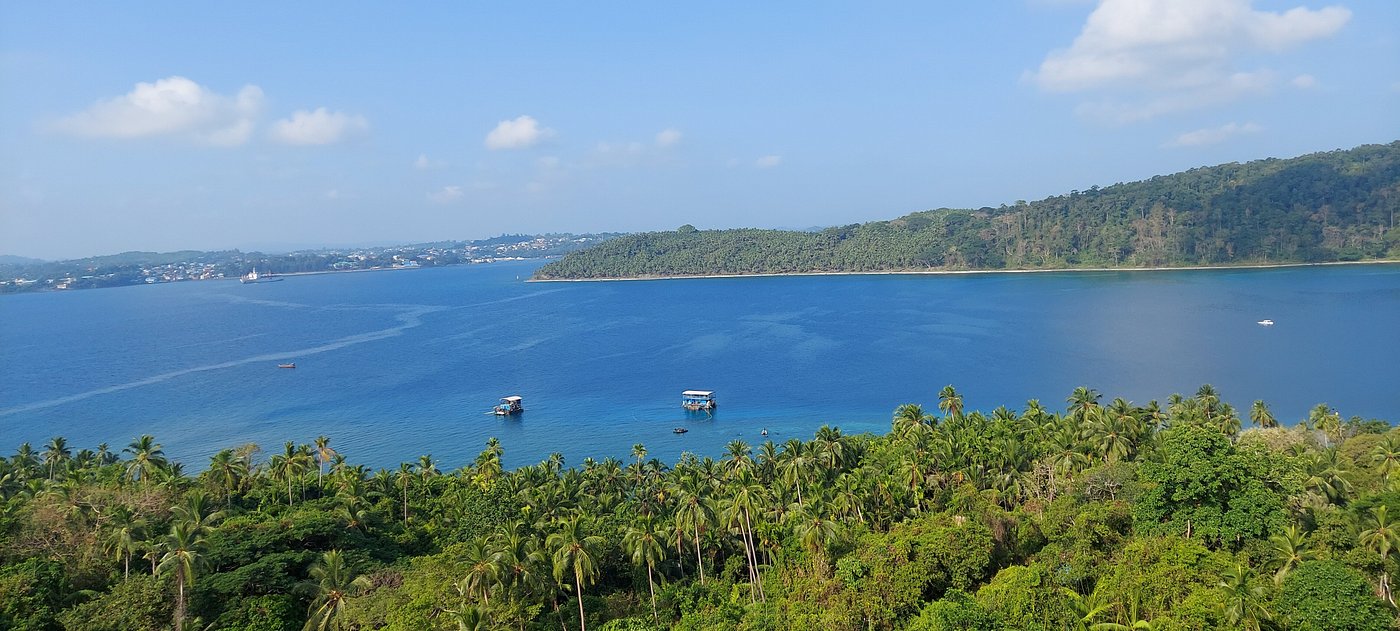North Bay: Coral Viewing and Easy Marine Activities Near Port Blair