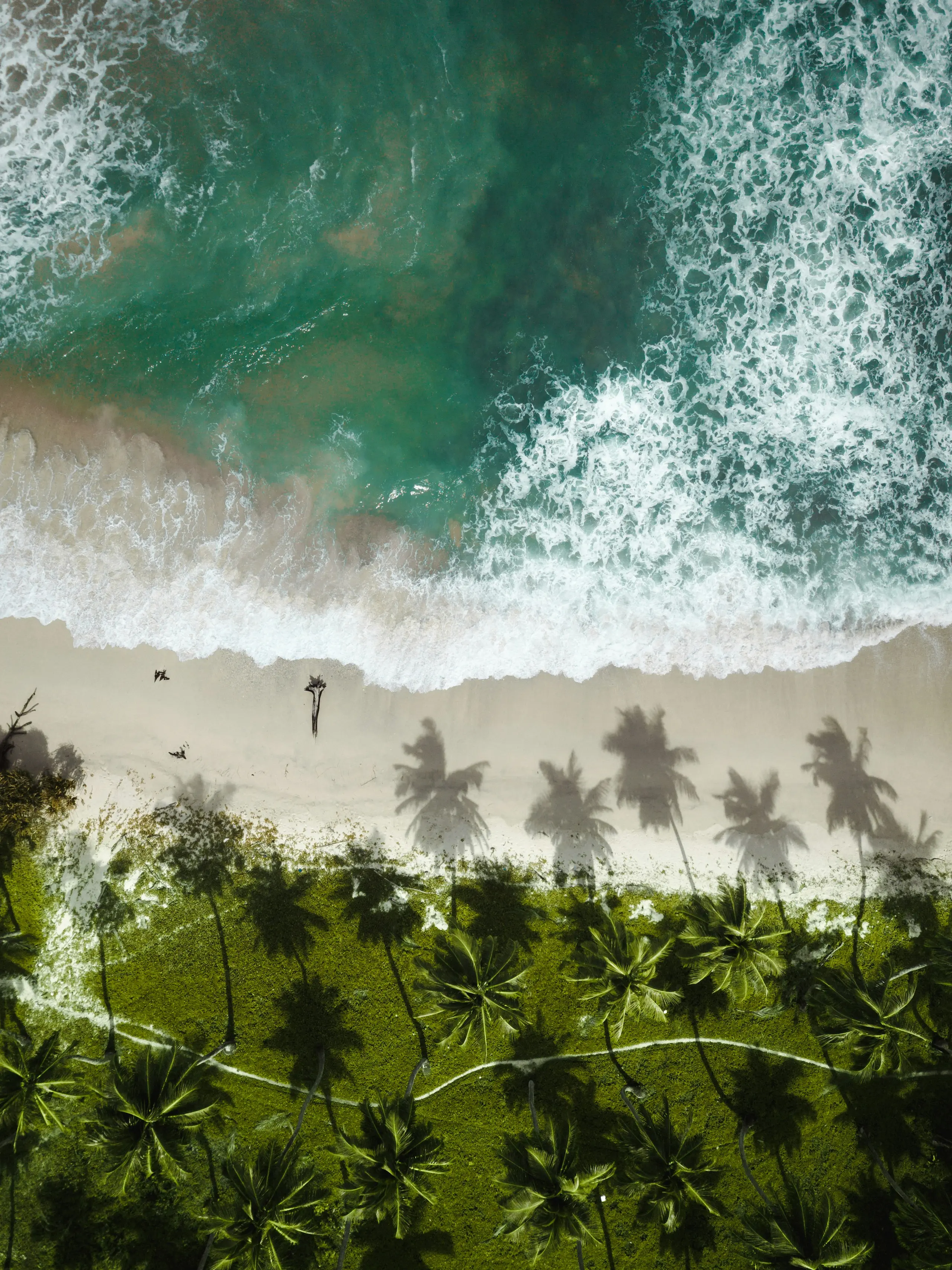 Rangat: Mangroves, Beaches, and the Scenic Middle Andaman Route